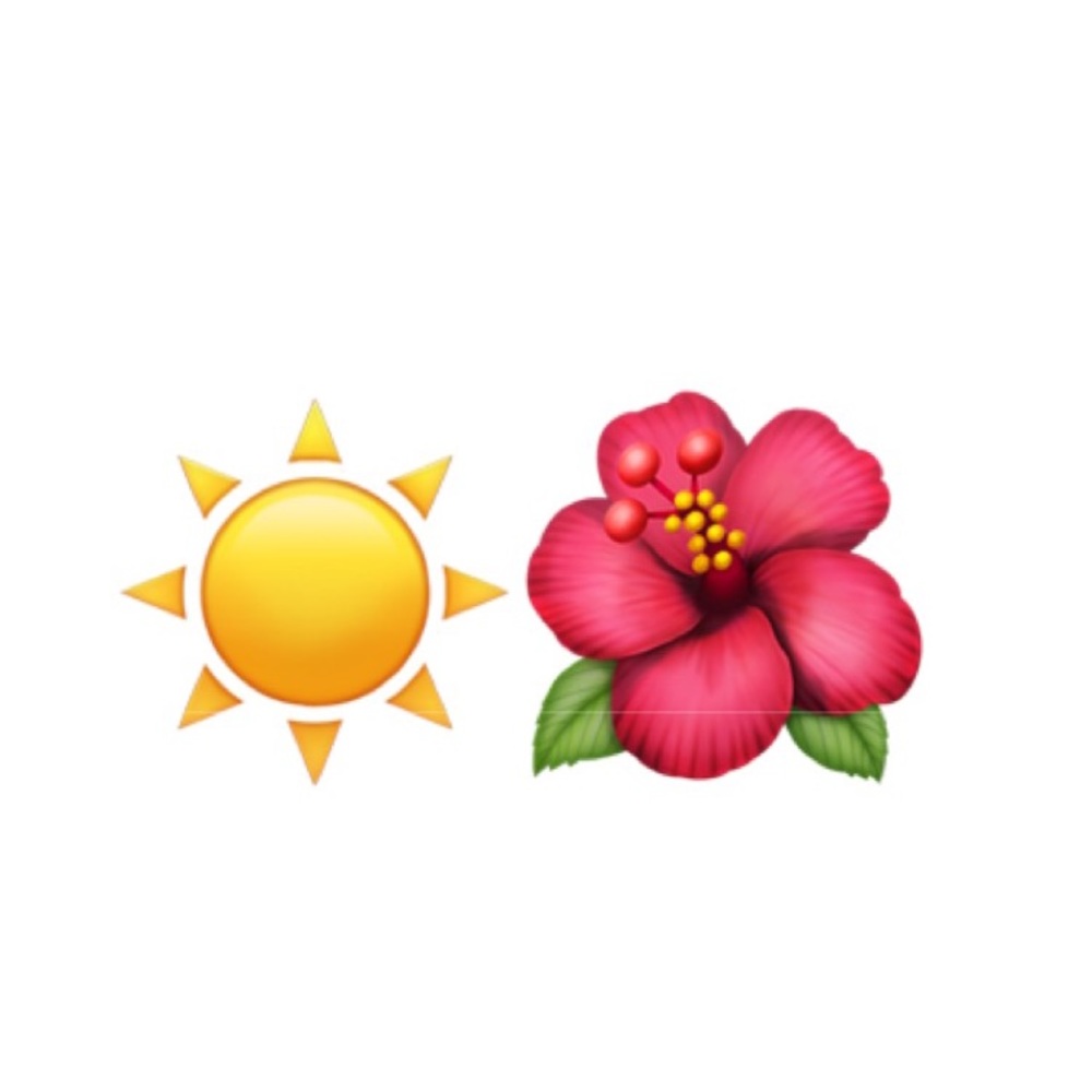 Summer Sale!